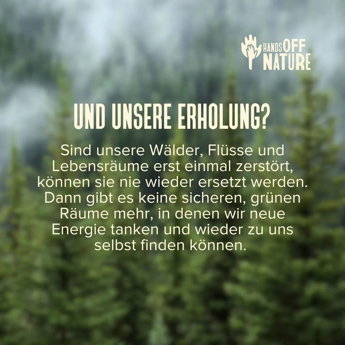 Und unsere Erholung? Sind unsere Wälder, Flüsse und Lebensräume erst einmal zerstört, können sie nie wieder ersetzt werden. Dann gibt es keine sicheren, grünen Räume mehr, in denen wir neue Energie tanken und wieder zu uns selbst finden können.